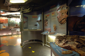 Dinosaurs: Ancient Fossils, New Discoveries Moveable Museum